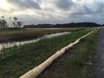 Excelsior Logs protect wetlands
