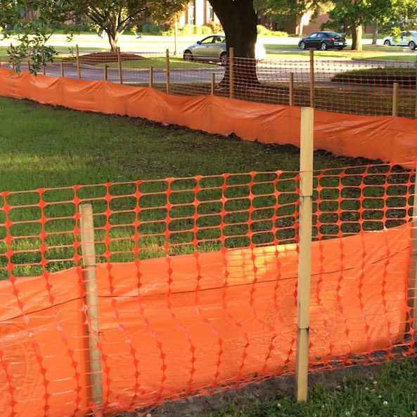 Tree Protection, aka Barrier Fence