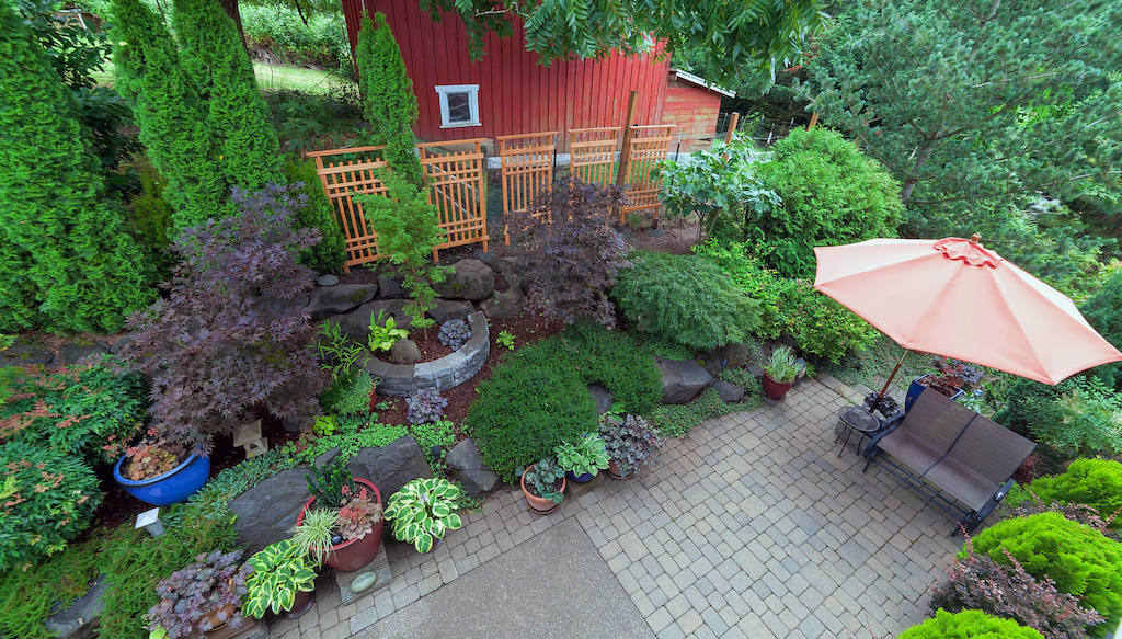 backyard with plants and pavers
