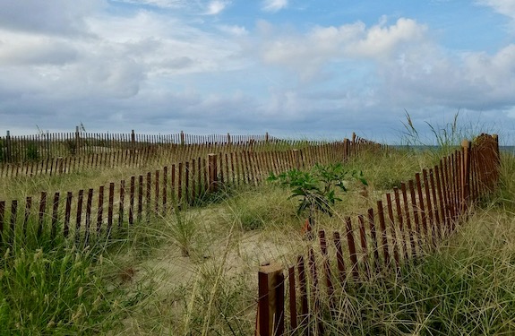 La cerca de arena evita la erosión costera