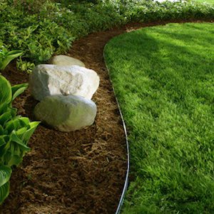 ProSlide Edging separates grass and mulch in backyard landscape