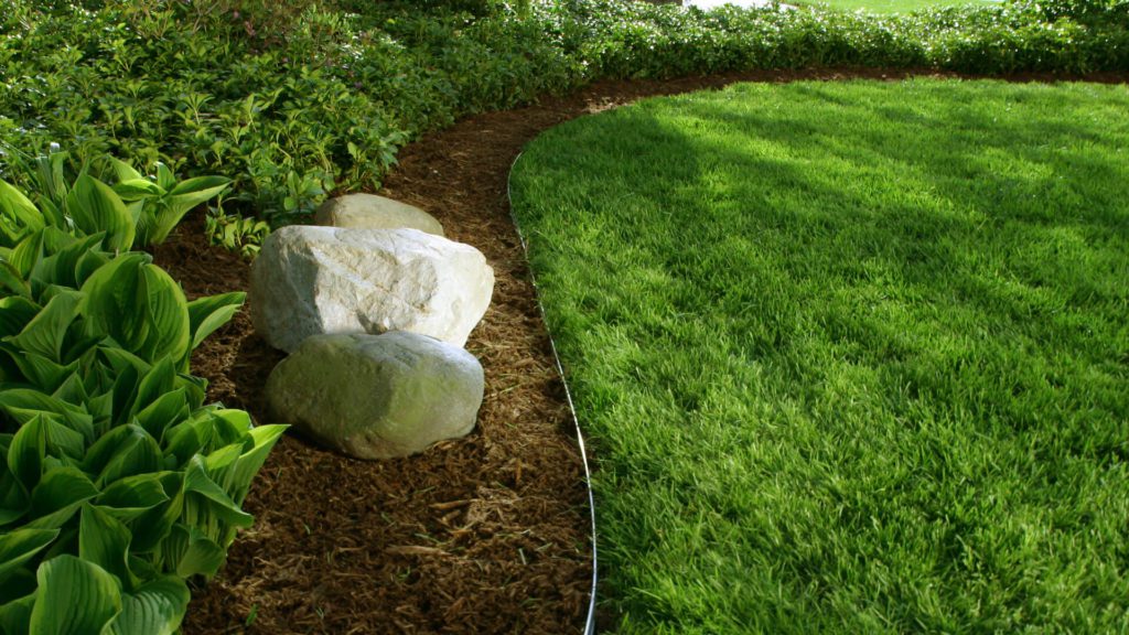 Backyard landscaping with grass and edging