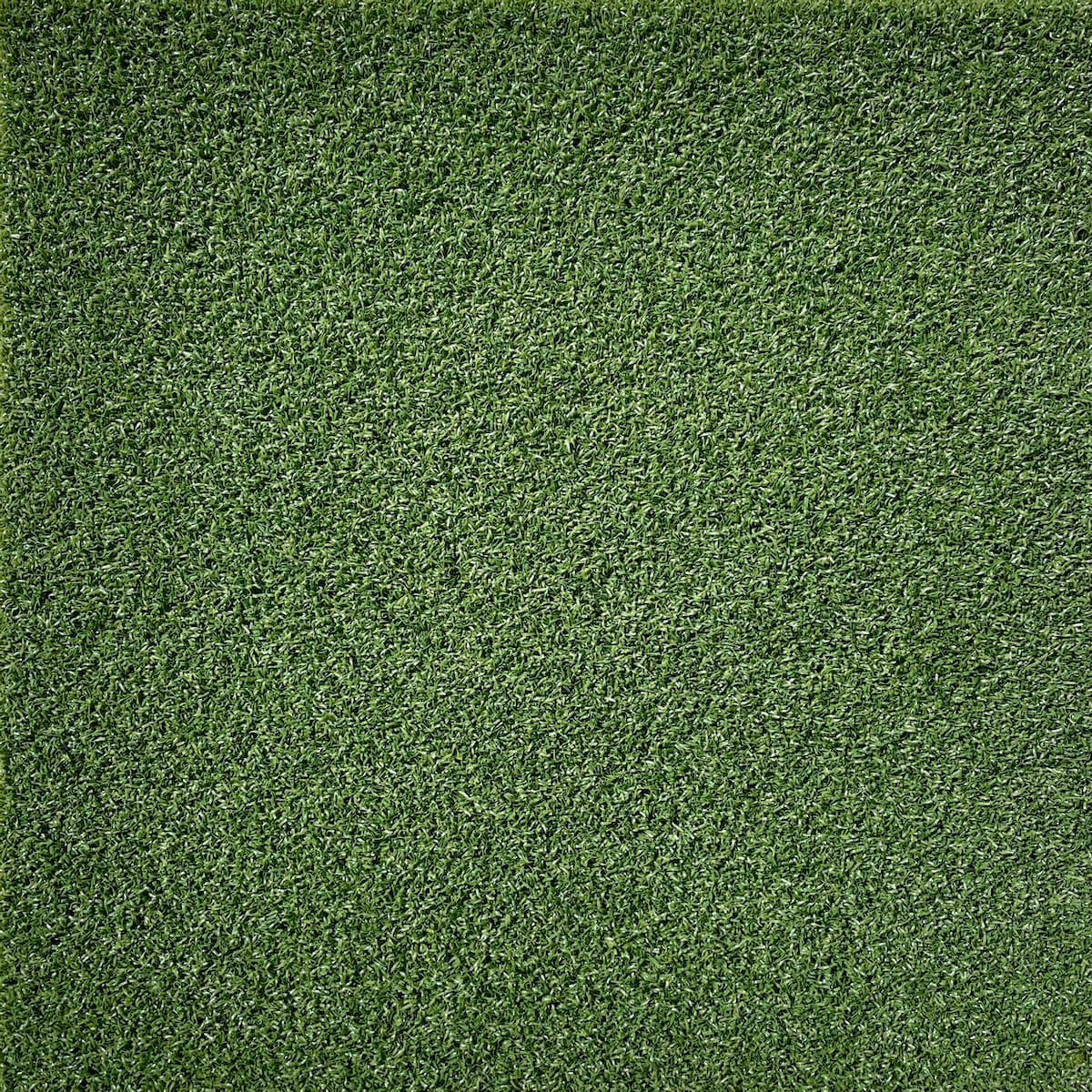Artificial grass for putting green