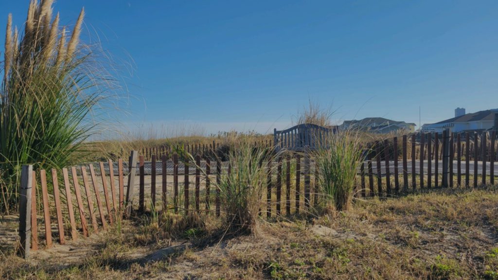Satined sand fence installed on beach dune