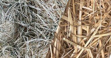 Curlex fibers and straw fibers