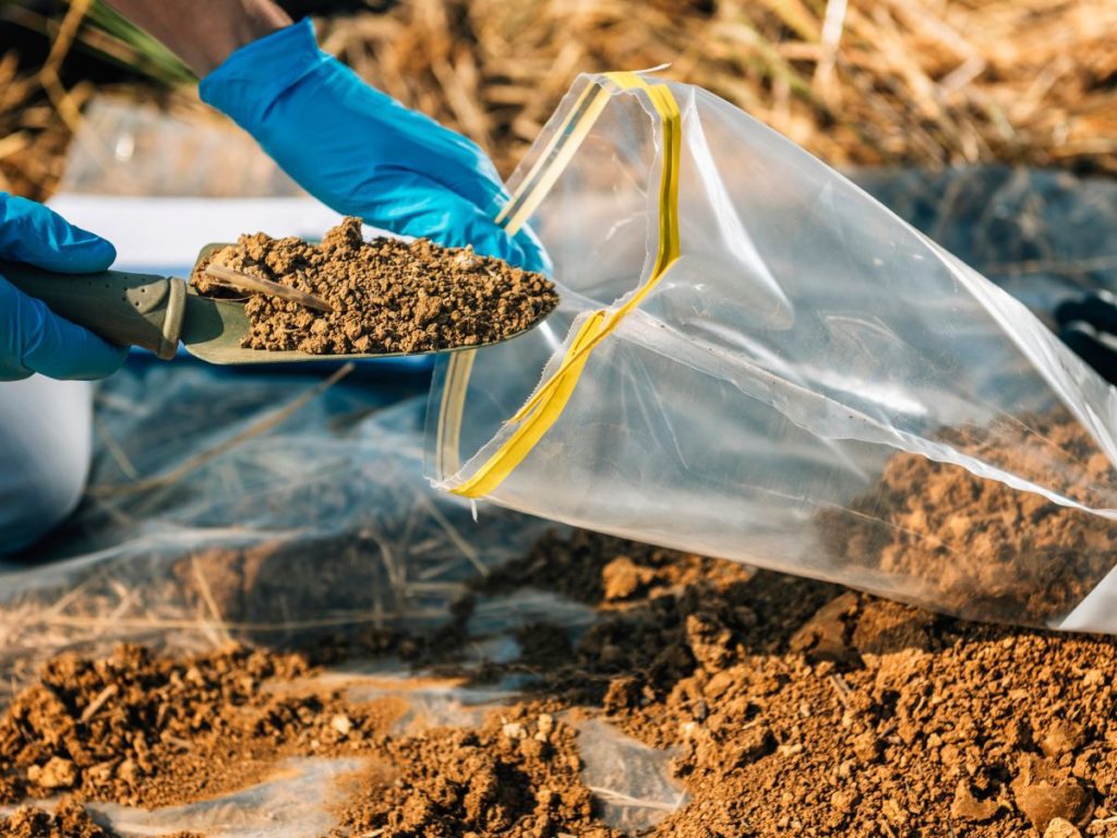 Soil test