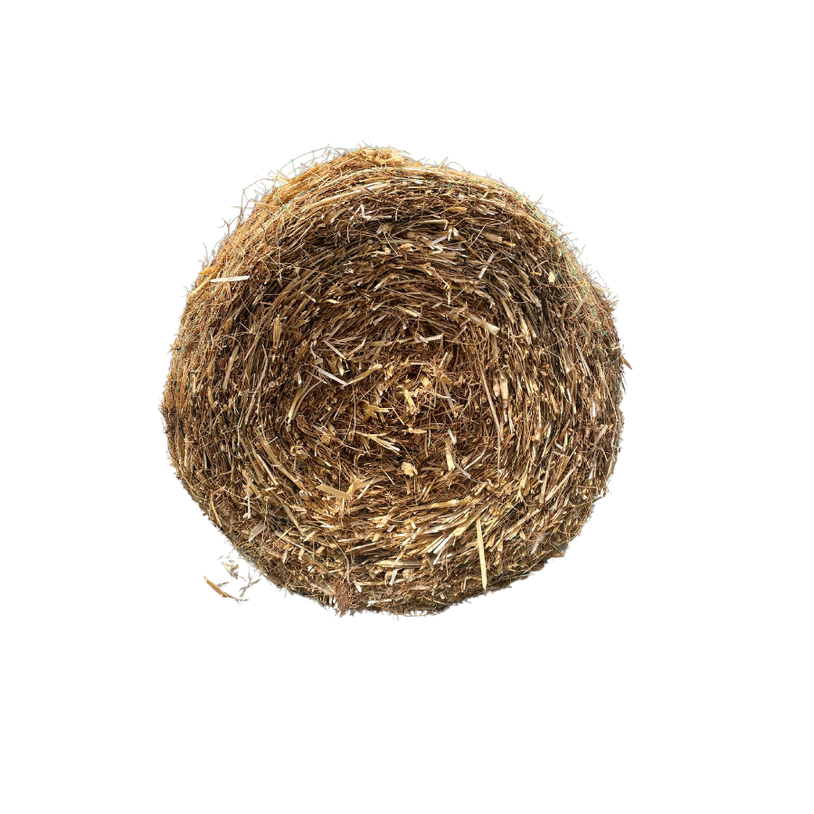 Straw Coconut roll front