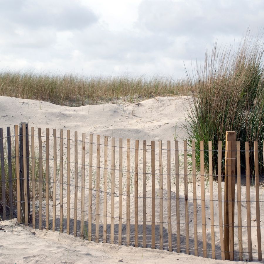 Sand fence for dune preservation