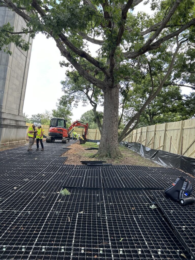 GEOTERRA mats create stable structure around tree