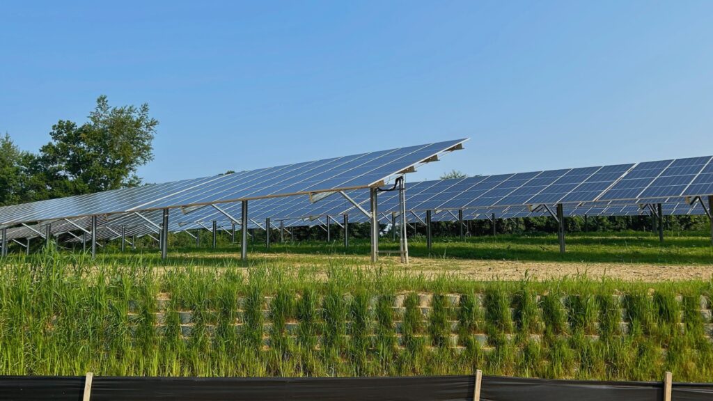 Green Wall for Kaiser Permanente solar installation