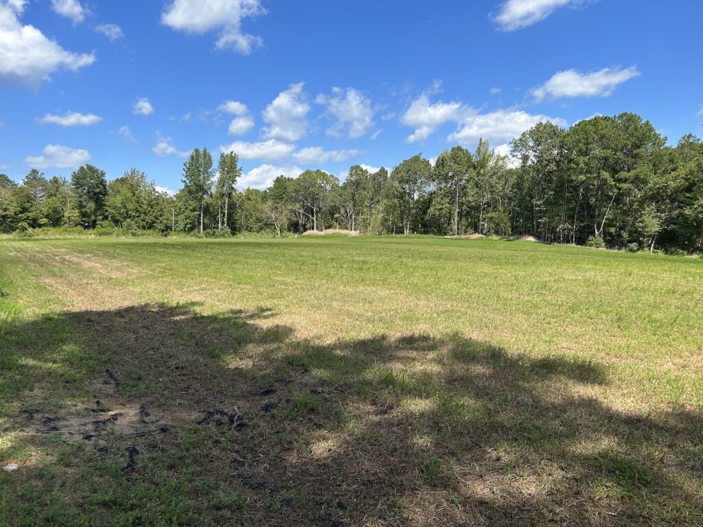 Franklinton Landfill one year after soil cover system