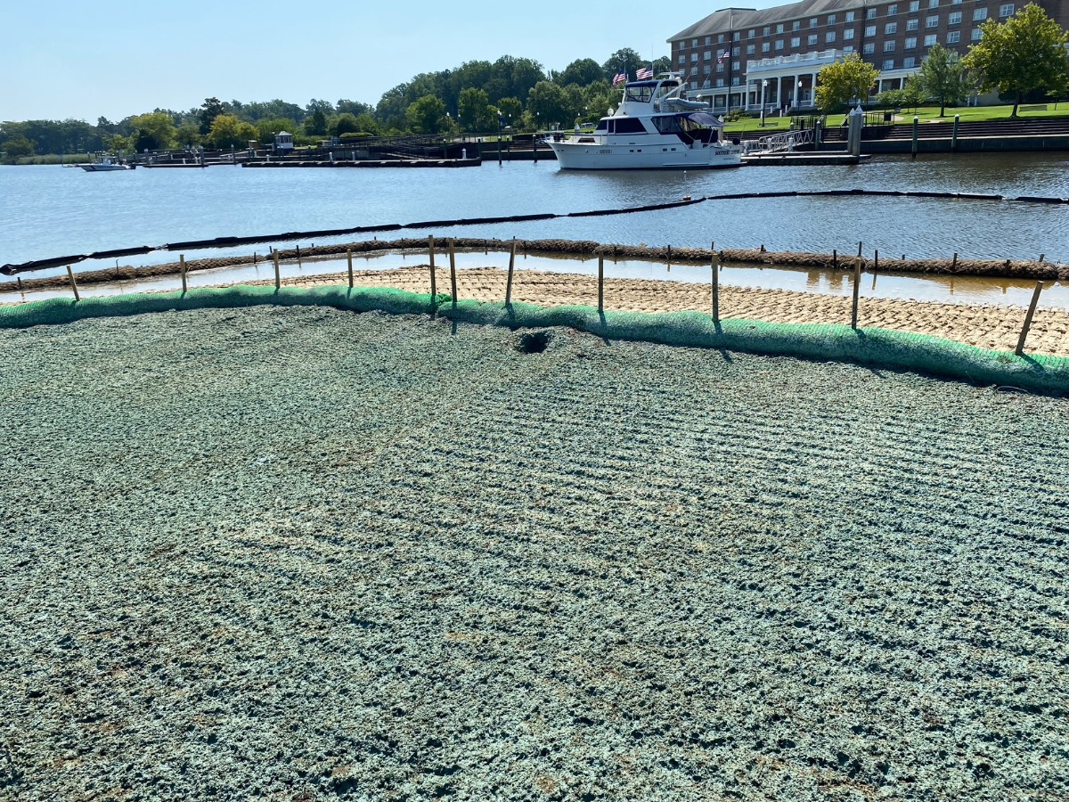 Hydromulch