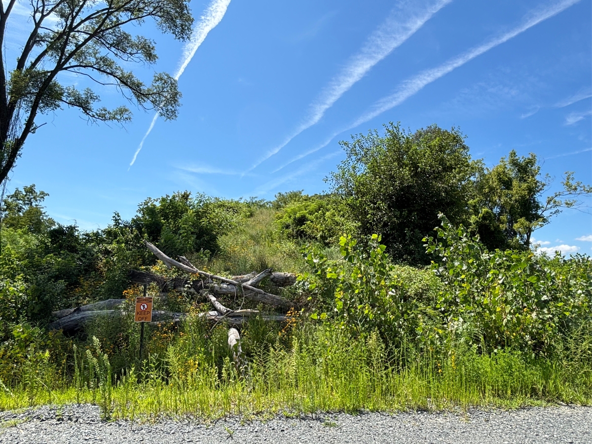Closed landfill after remediation